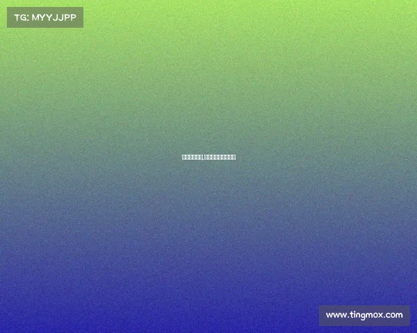 大型排球赛事,大型排球赛事叫什么