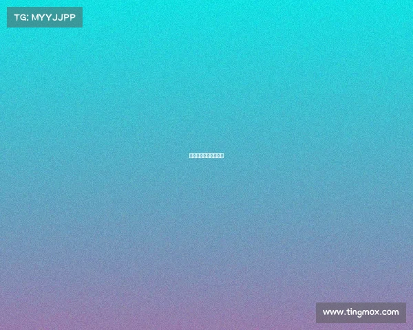 挪威杯赛事规则及奖金